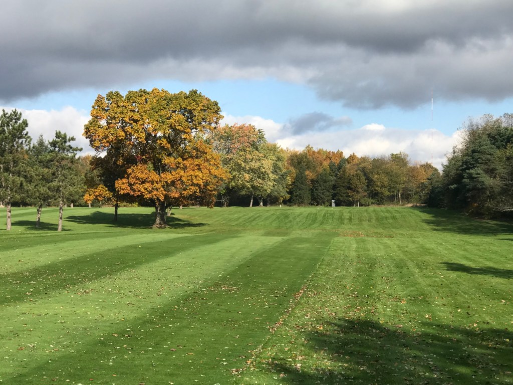 Golf course fairway with manicured greens